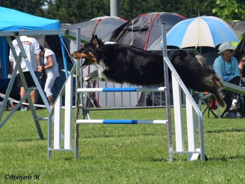 Agility