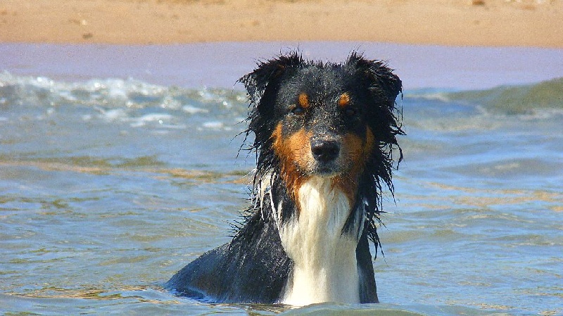 Plage